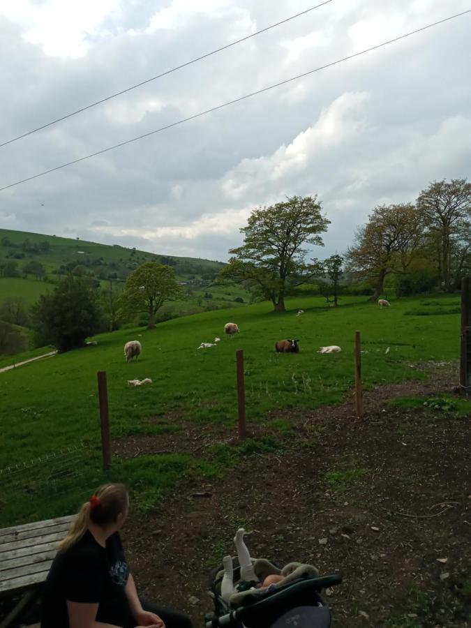 Orchard Meadow Shepherd Huts Leek-Buxton-Ashbourne Upper Elkstone Extérieur photo